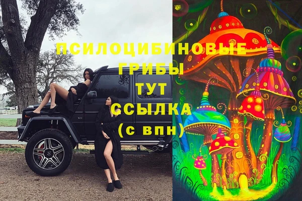 меф VHQ Гусев