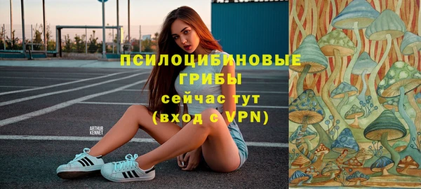 PSILOCYBIN Гусь-Хрустальный