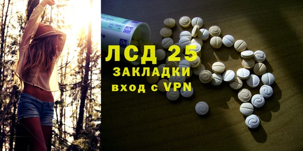 PSILOCYBIN Гусь-Хрустальный