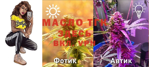 PSILOCYBIN Гусь-Хрустальный