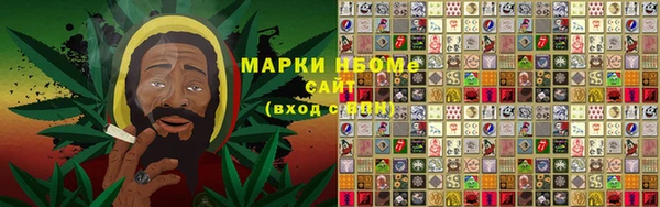 PSILOCYBIN Гусь-Хрустальный