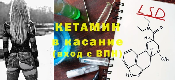 крисы Горняк