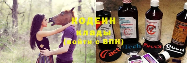 PSILOCYBIN Гусь-Хрустальный